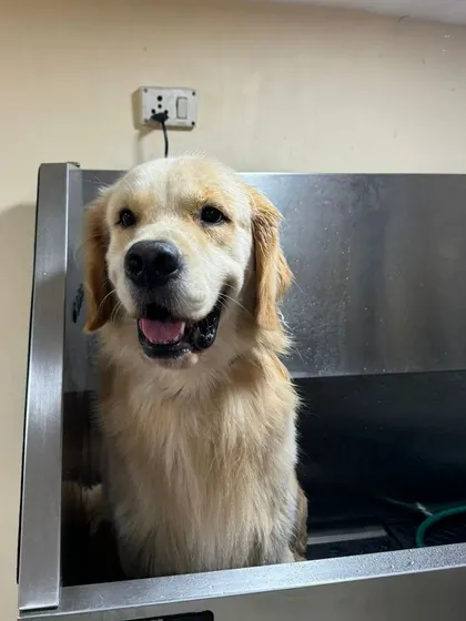 All smiles in the tub. We make bath time a positive experience with warm water and a gentle touch.