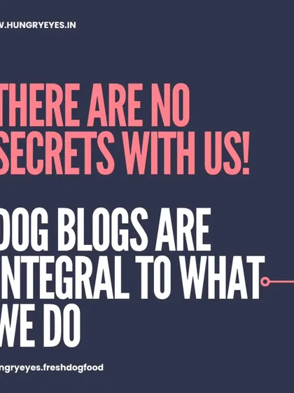 There are no secrets with us. Our dog blogs are integral to what we do, sharing everything we've learned about feeding a meat-based diet in India.