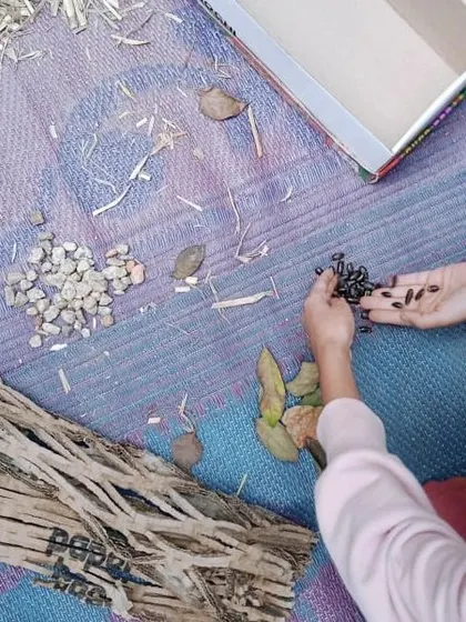 A child sorts through natural materials like twigs, pebbles, and seed pods to decide what to include in their insect hotel.