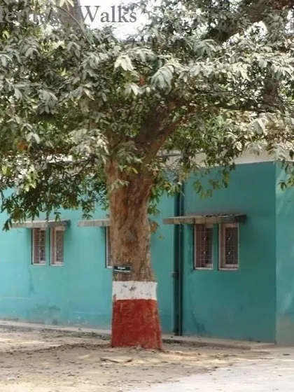 A quiet corner of the Indraprastha College campus. The college environment itself is a part of the heritage we explore.