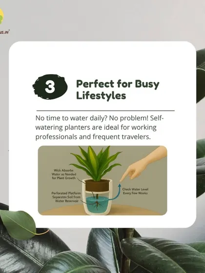 No time for daily watering? No problem. The diagram shows how the wick absorbs water from the reservoir, keeping the soil perfectly moist. You only need to check the water level every few weeks.