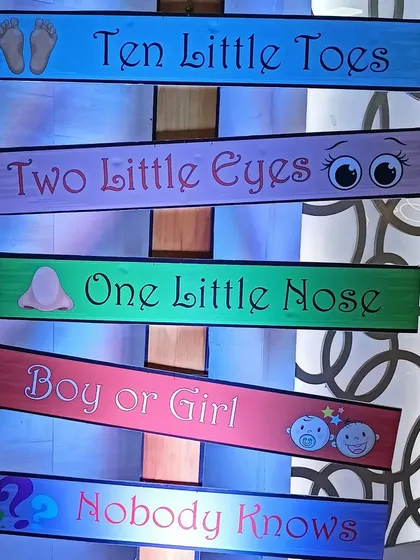 This cute and quirky signpost is a fun decorative element for a baby shower, with phrases like 'Ten Little Toes' and 'Boy or Girl, Nobody Knows'.