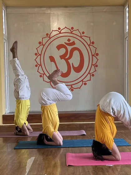 Students practicing different stages of Sirsasana, the headstand, in our yoga hall. Our workshops provide step-by-step guidance to safely build strength and confidence in this king of asanas.