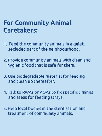 For all the community animal caretakers out there, this one's for you. These are the latest guidelines from the BMC in Mumbai for feeding strays responsibly and hygienically. Let's work together to uphold the rights of our community animals.