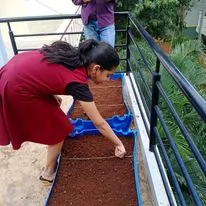 This is a duplicate of image 49. A customer sowing seeds in a raised garden bed on her balcony. We provide everything needed, from the beds to our organic Prithvi soil, to get your vegetable garden started.