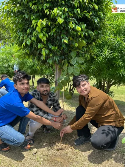 Partnering with the Rotary Club to green an industrial area in Greater Noida. Bringing trees to these pollution hotspots helps improve air quality and creates a better working environment for thousands of people.