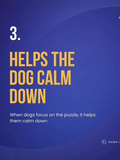 Did you know that dog puzzles offer numerous benefits? They provide mental stimulation, reduce boredom, help calm anxious dogs, slow down fast eaters, and build confidence. I incorporate puzzles into many of my training plans.