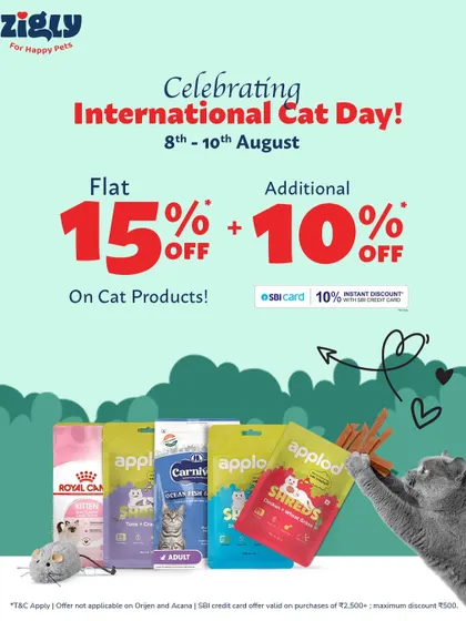 Celebrating International Cat Day with a special offer: a flat 15% off plus an additional 10% off on cat products with an SBI card.