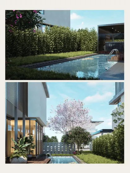 More renders from the Embassy Boulevard project, detailing the poolside area with its privacy hedge and a view of the flowering Tabebuia tree.