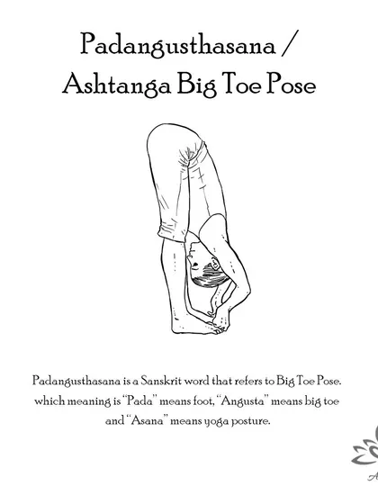 Padangusthasana (Big Toe Pose) provides a deep stretch to the hamstrings and calves, strengthens the thighs, and can help relieve stress and anxiety.