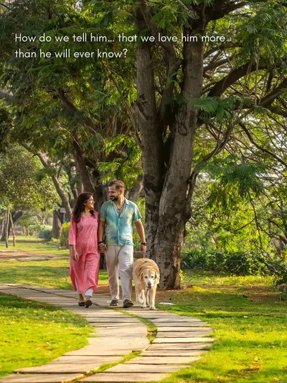 A testimonial from Kumo's family, expressing their love for the photos from his senior session.