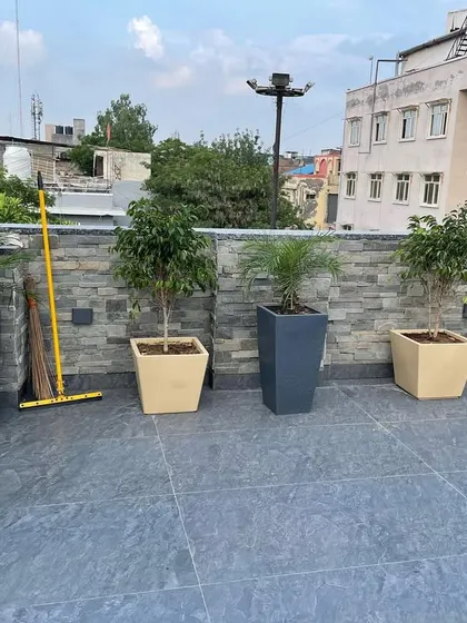 An assortment of potted plants on a rooftop terrace. I use a combination of planters in different shapes and colors, like these grey and beige ones, to create a visually interesting arrangement.