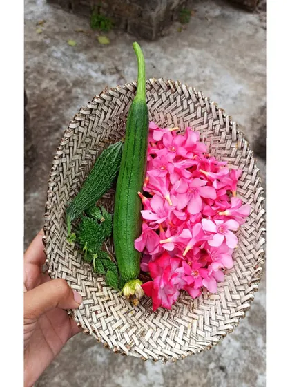 Even a small harvest feels special. Here are a few gourds and some lovely pink flowers I picked.
