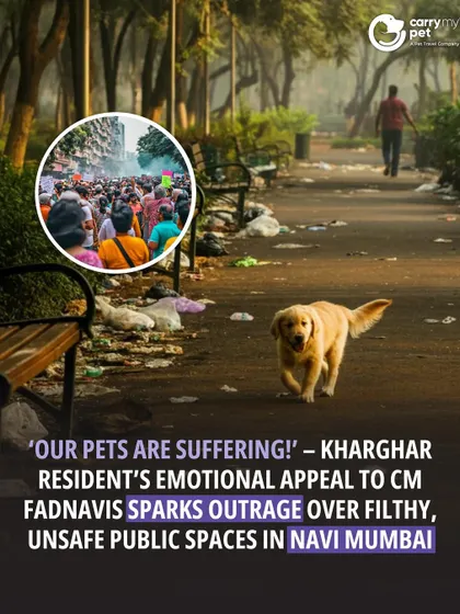 A Kharghar resident's emotional appeal to the government highlights the suffering of pets due to filthy and unsafe public spaces in Navi Mumbai, sparking a call for better regulations.