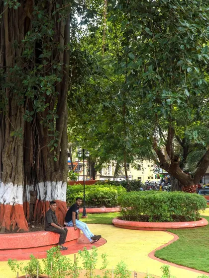 Seating integrated into the curved planter edges at VDP Garden, providing a place to rest under the shade of a large, mature tree that we preserved during the renovation.