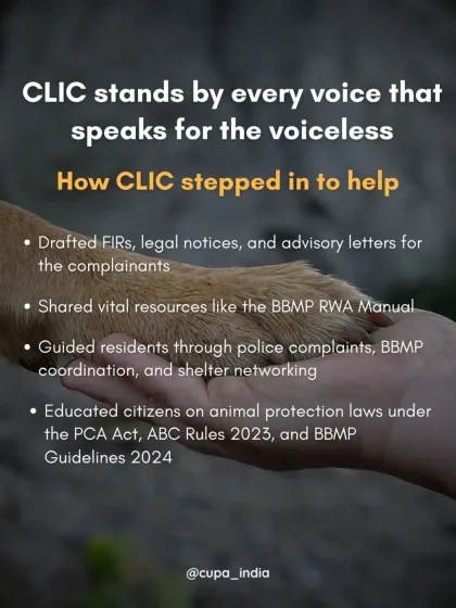I stand by every voice that speaks for the voiceless by drafting FIRs, sharing legal resources like the BBMP RWA Manual, and educating citizens on animal protection laws.