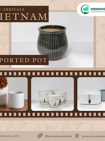 We are excited to introduce our new collection of imported pots from Vietnam. This image showcases a variety of textures and shapes, from ribbed ceramic planters to minimalist modern designs.