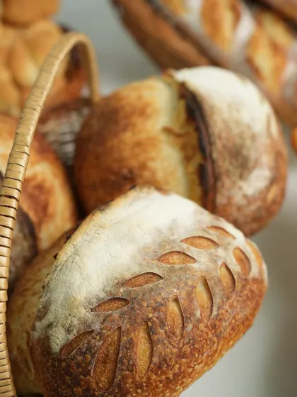 A basket of beautifully scored sourdough boules. We teach you how to create and maintain a starter, and how to achieve that perfect crust and crumb.