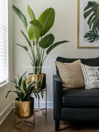 A stylish living room corner featuring an artificial bird of paradise and a smaller plant in matching gold planters on stands. This is a chic and modern way to display faux plants.
