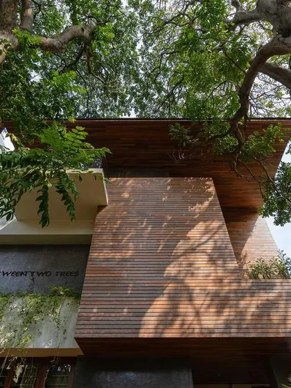 Looking up at the facade, the home's wooden cladding and deep roof overhangs are framed by the branches of the existing trees.