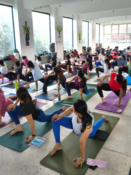 The tribe flowing together in a lunge variation. Our classes are a space for mindful movement, where the breath guides the body and helps to create a moving meditation.