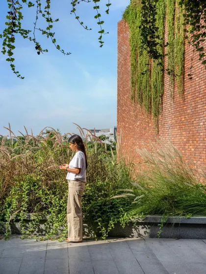 A quiet moment on the terrace at Greenlab. The tall grasses provide a soft, natural screen, creating a sense of privacy and immersion in nature, even within a corporate campus.