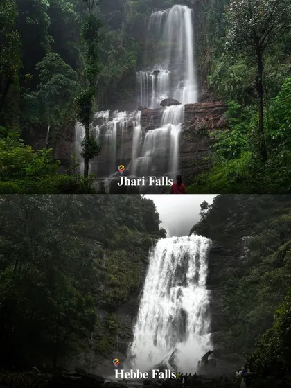 For the waterfall lovers in Chikmagalur, the multi-tiered Jhari Falls and the powerful Hebbe Falls are absolute must-visits.