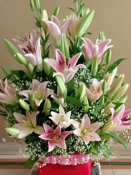 A stunning and generous arrangement of fresh pink lilies in a gift box. This is a statement floral piece that is sure to make someone feel incredibly special.