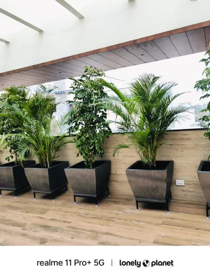 We help businesses and homes bring greenery indoors. This setup features a series of large, elegant Fiber-Reinforced Plastic (FRP) planters, perfect for creating a professional and refreshing atmosphere in office corridors or large living rooms.