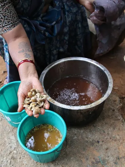 We had an incredible week hosting the artists from Bábbarra Women's Centre. We learned so much from each other, sharing techniques in printing and dyeing, and creating beautiful textiles together.