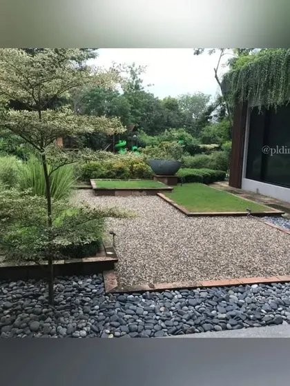 This Zen garden court uses contrasting materials, including dark river stones, light gravel, and patches of green lawn. A specimen Bucida tree adds a delicate, sculptural element to the composition.