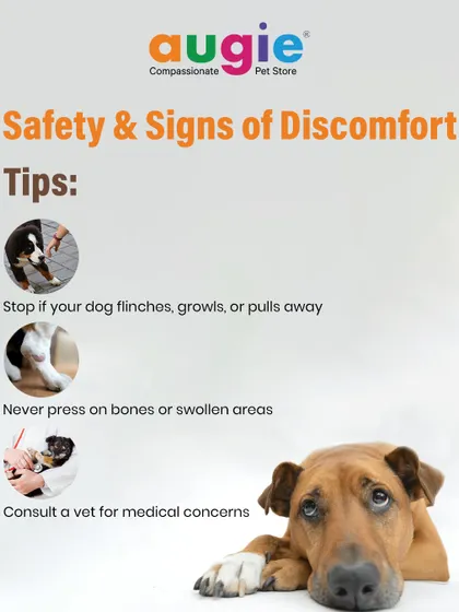 Always prioritize safety and watch for signs of discomfort. Stop if your dog flinches, growls, or pulls away. Never press directly on bones or swollen areas, and consult a vet for any medical concerns.