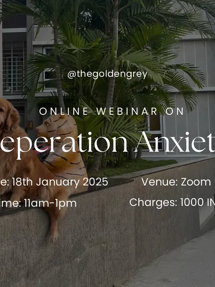 Separation anxiety is one of the most common and stressful issues for pet parents. This is an announcement for my online webinar dedicated to helping you understand and manage your dog's anxiety when left alone.