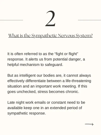 Explaining the Sympathetic Nervous System, our "fight or flight" response. Chronic stress can keep us in this state, and yoga can help us learn to down-regulate.