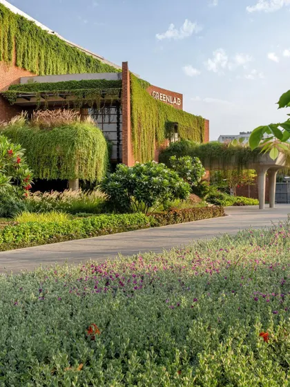 Another perspective on the Greenlab facade, showing the interplay between the structured garden beds and the wilder, cascading greenery. This balance is key to my philosophy of integrated landscape architecture.