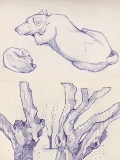 More studies from nature. This page includes detailed sketches of tree trunks, observing their unique shapes and textures, alongside quick drawings of sleeping dogs I encountered in the park.