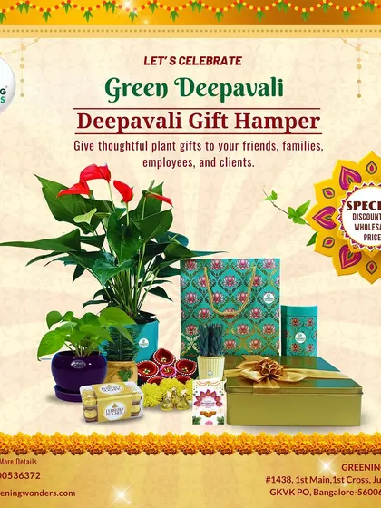 Our Green Deepavali gift hamper, complete with plants, diyas, sweets, and a decorative gift box. A thoughtful gift for friends, family, and employees.