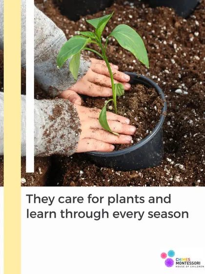 Children care for plants and learn through every season, developing a sense of responsibility and a connection to the natural world.