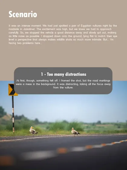 The scenario for the vulture shot. We spotted the pair by the roadside and had to approach slowly. My first frames had too many distractions, like the road markings.