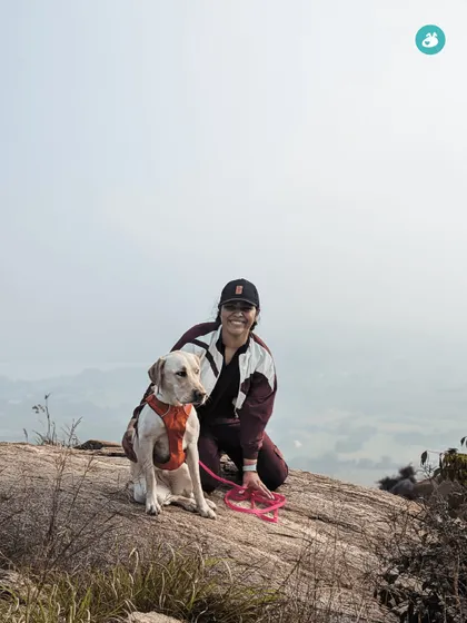A beautiful moment captured at the summit. A pet parent and her well-behaved Labrador enjoying the view after a fulfilling climb.