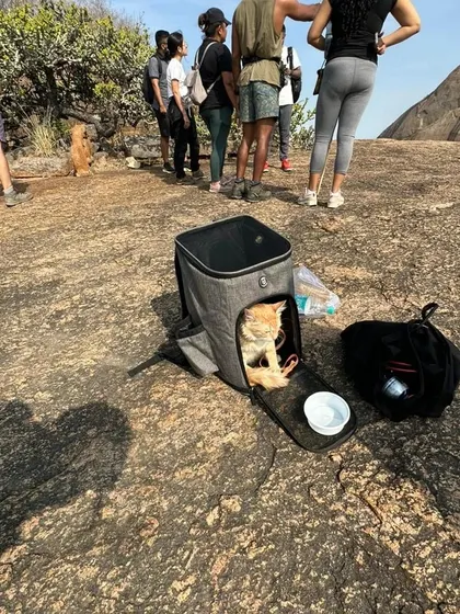 Our most adventurous trekker taking a break. Having pets along for the journey adds an extra layer of fun and happiness.