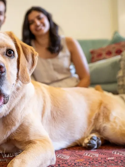 A dog's-eye view of family life. By getting down on their level, I can capture your pet as the center of the world, with his loving family softly in the background.