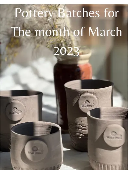 My upcoming batches for the beginner's first level course are starting in March. Registrations are now open.