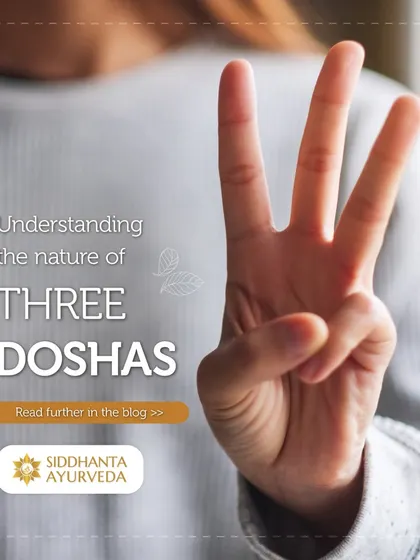 Understanding the three doshas, Vata, Pitta, and Kapha, is key to understanding your unique health needs. This post introduces the core characteristics of each dosha to help you on your journey of self-awareness.