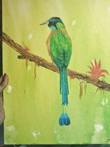 An acrylic painting of a beautiful long-tailed bird perched on a branch. I enjoy capturing the delicate details and vibrant colors of nature in my art.