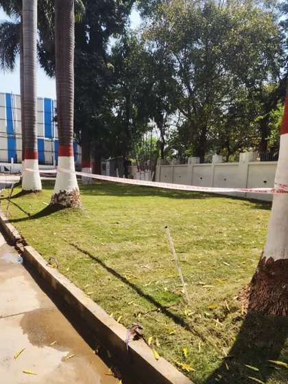 The "after" shot, showing a newly installed, vibrant green lawn at Bihar Bhawan, instantly elevating the look of the government building's grounds.