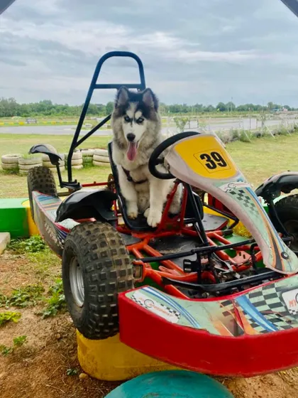 A rare and welcome sight. Our facility is pet-friendly, with a huge pet park and boarding right on location, so your furry friends can come along.