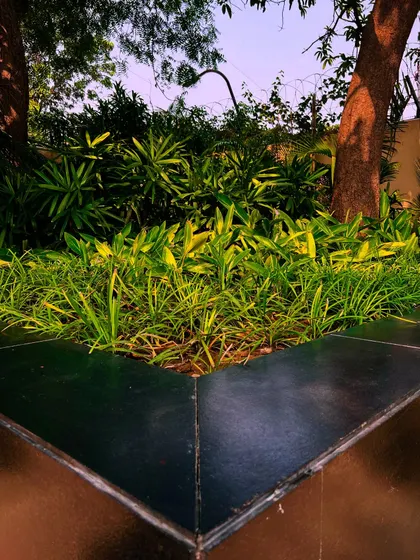 Another angle of the integrated tree planter, showing its sharp, modern lines. This is an example of custom hardscaping that solves a practical problem with an elegant solution.