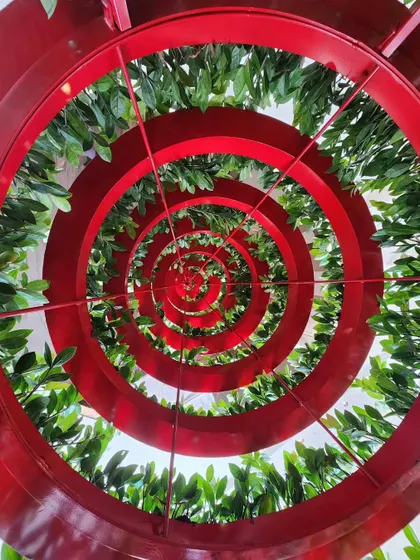 If it's Plant People, it must be epic! This hypnotic spiral of red and green was part of a unique Christmas tree installation we built for the Westin Mumbai Powai. Can you guess what it's made of?