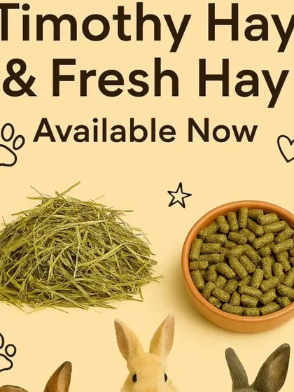 I have fresh Timothy hay and nutritious hay-based pellets available now. You can order online for convenient delivery across Delhi, Noida, Gurugram, and Faridabad.